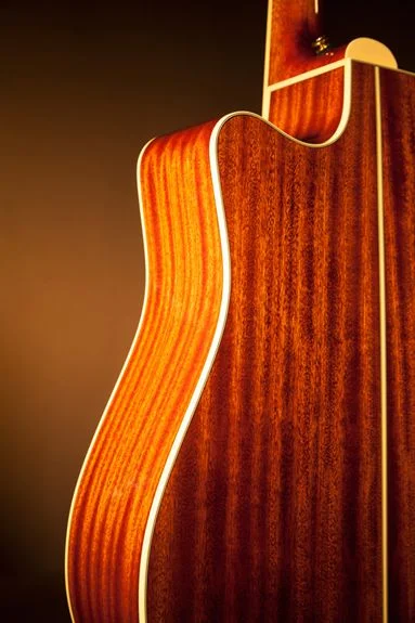 Takamine P4DC — detalhe do cutaway e acabamento — foto 2 de 6